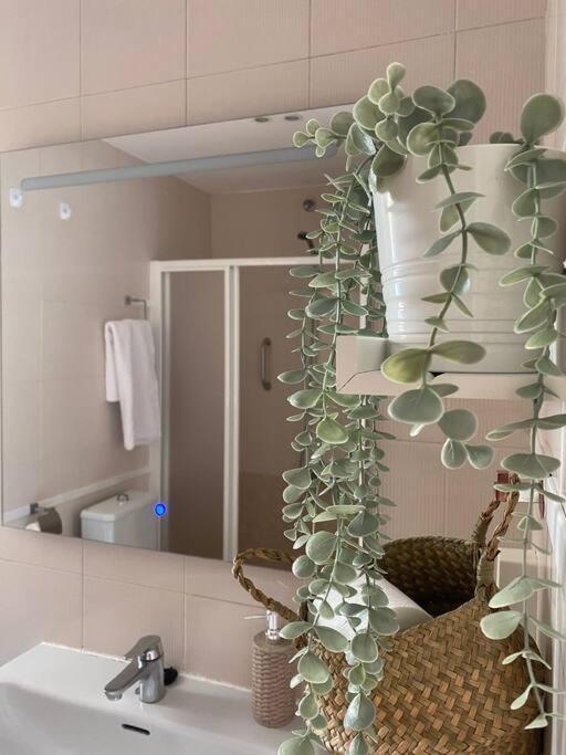 Apartament La Florida Ciudad Real Zewnętrze zdjęcie
